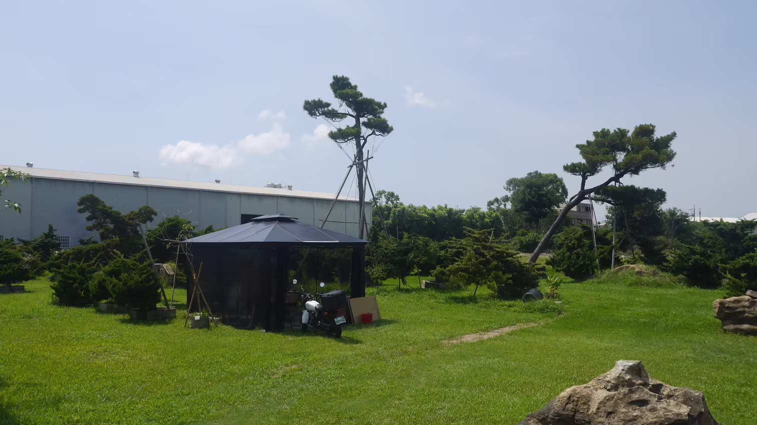 預約制松樹園場地租借