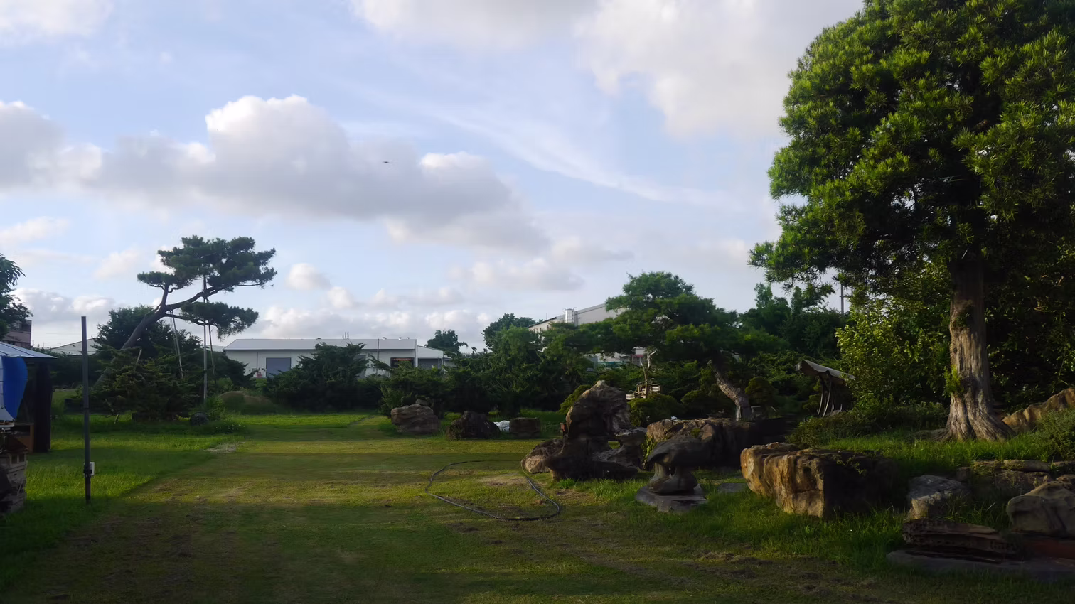 預約制松樹園場地租借